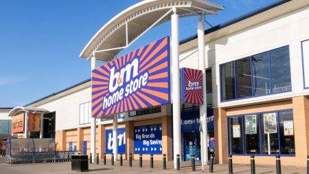 B&M shoppers rush to buy popular toys scanning for £1 instead of £40 in big nationwide summer sale