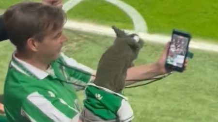 Fan whips out hand puppet and films comedy sketch while his team are 2-0 down sparking angry confusion