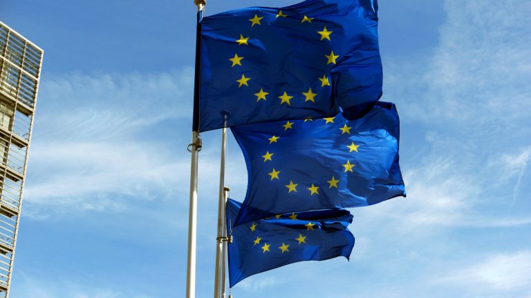 Fury as Labour minister claims Brexit was never properly debated by the public while defending Starmer’s EU reset