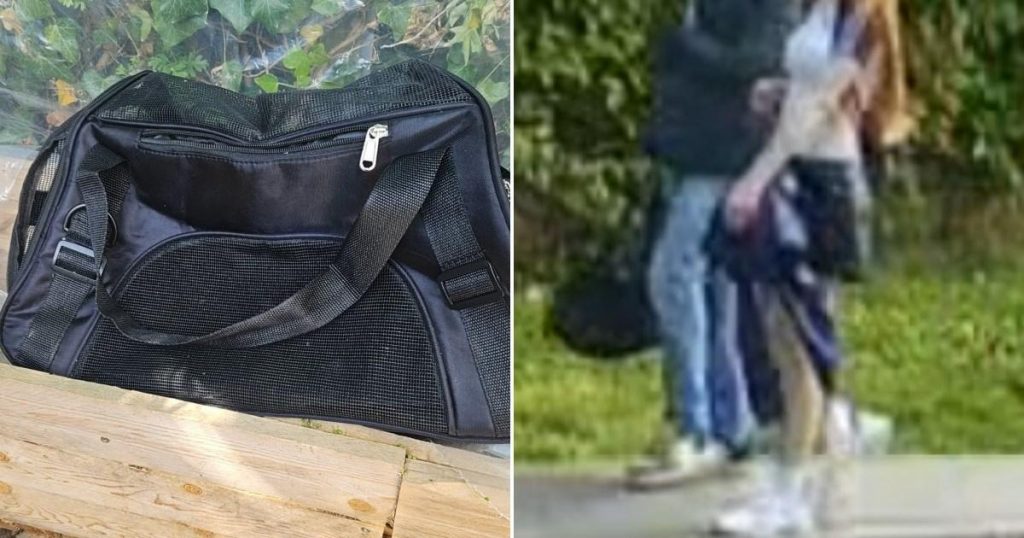 ‘Sadistic’ teen had looked up satanic cat rituals before torturing two kittens to death