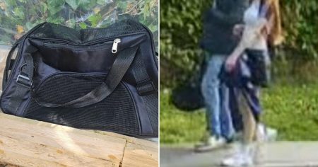 ‘Sadistic’ teen had looked up satanic cat rituals before torturing two kittens to death