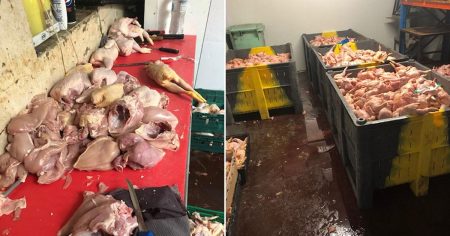 Two men jailed over plot to sell ‘disgustingly filthy’ waste meat to shoppers