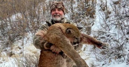 Millionaire trophy hunter gored to death by 1.3 tonne bull on African safari