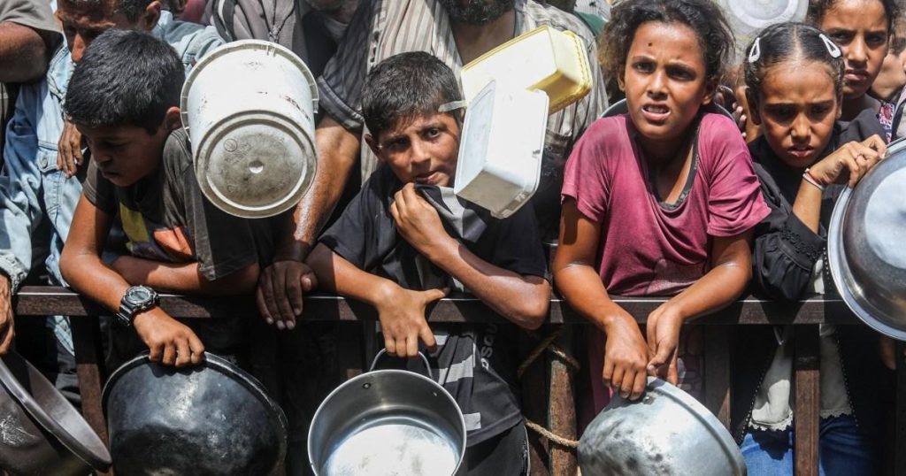 Famine in Gaza officially declared by UN-backed group monitoring world hunger