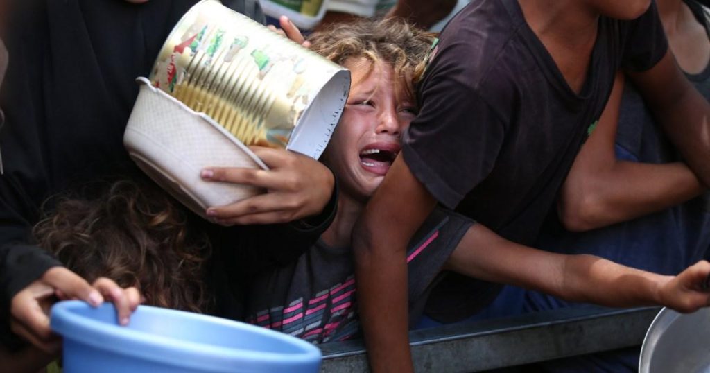 Palestinians searching for food killed by Israeli strikes after famine in Gaza declared
