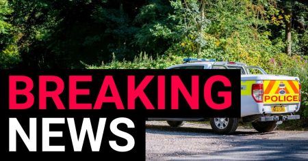 Charred human remains found by dog walker at Savernake Forest, Wiltshire