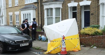 Murder arrest after man, 26, stabbed to death at home in Lewisham