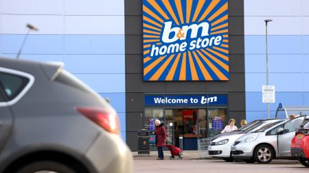 B&M shoppers rush to buy popular toy scanning for £1 instead of £37