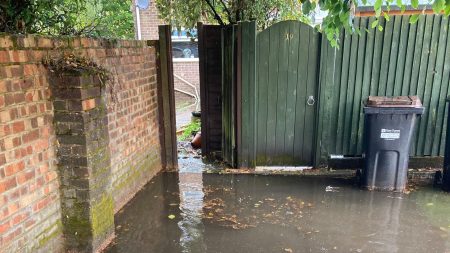 Our garden is being flooded due to HUGE trees next door… but council won’t do a thing to stop it