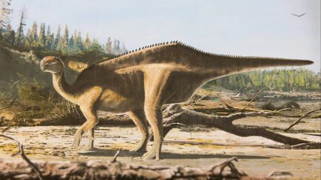 New 125 million year-old dinosaur species discovered on the Isle of Wight with unusual feature to attract partners
