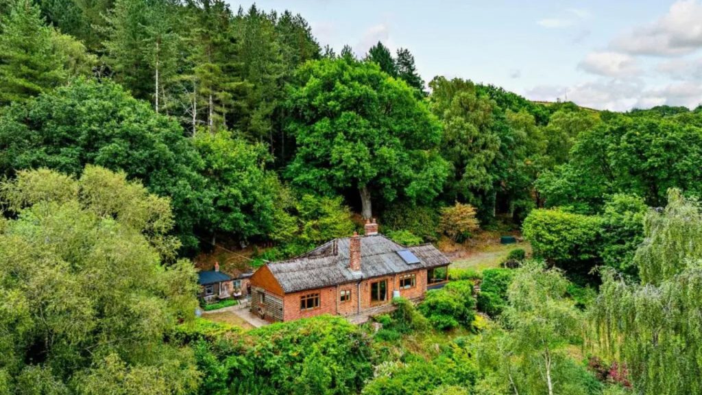 Is this Britain’s most isolated house? Stunning woodland cottage with no neighbours hits market