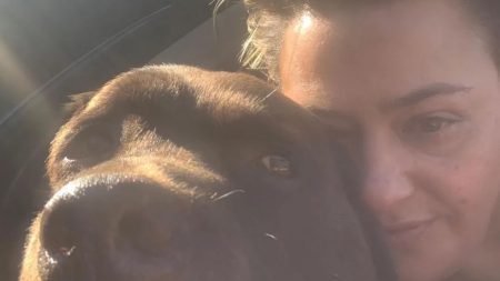 Ant McPartlin’s ex Lisa takes swipe at him amid fallout over their beloved dog Hurley