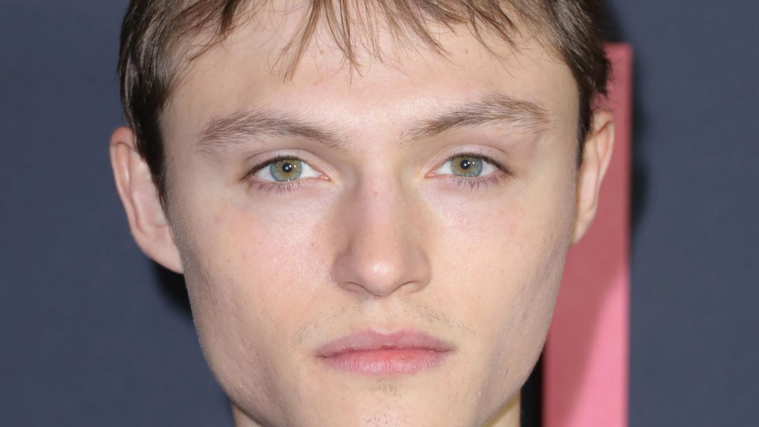 ‘The Walking Dead’ actor Norman Reedus’ son Mingus ‘arrested for assault after slamming woman to ground’ in New York