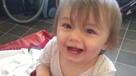 Heartbroken family of boy, 2, murdered by grandparents calling for ‘Ethan’s Law’ to give child services extra powers