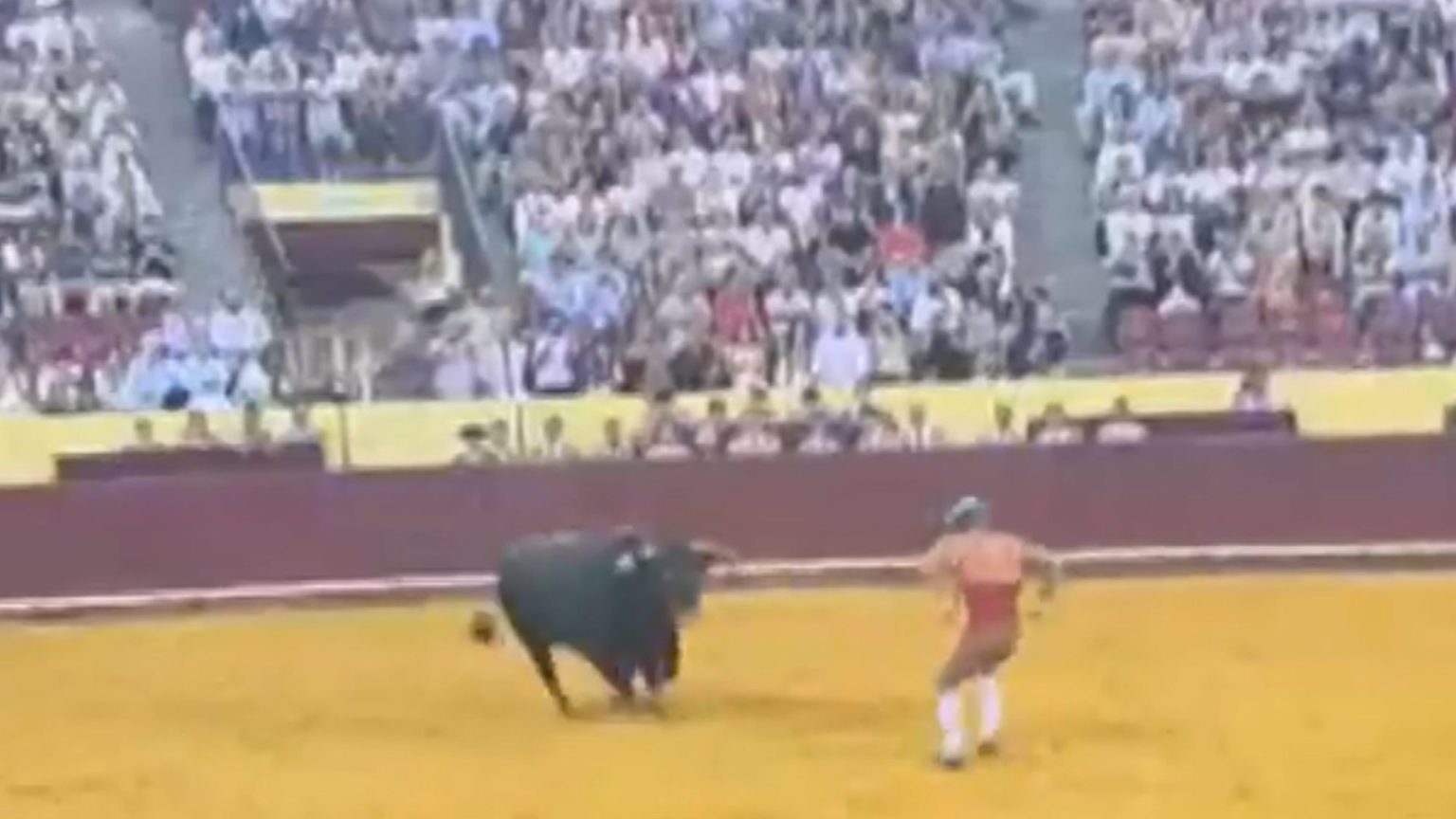 Rising star bullfighter, 22, dies in the ring when 700kg bull picks him up and charges into a wall in front of thousands