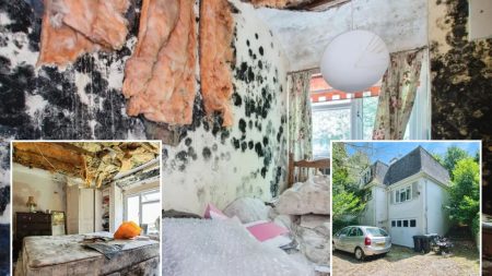 Mould-ridden wreck with 4 bedrooms, wrap-around garden and seafront views hits market – would YOU put in an offer?