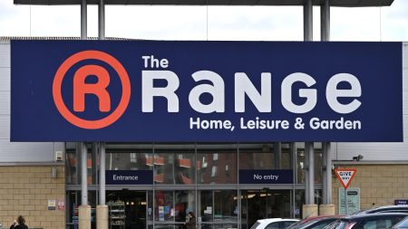 The Range’s stunning & realistic LED olive tree adds elegance & sophistication to any room for £110 less than Next’s buy