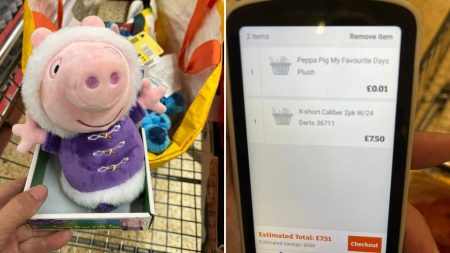 Supermarket shoppers stock up for Christmas after spotting Peppa Pig toy on sale for just 1p