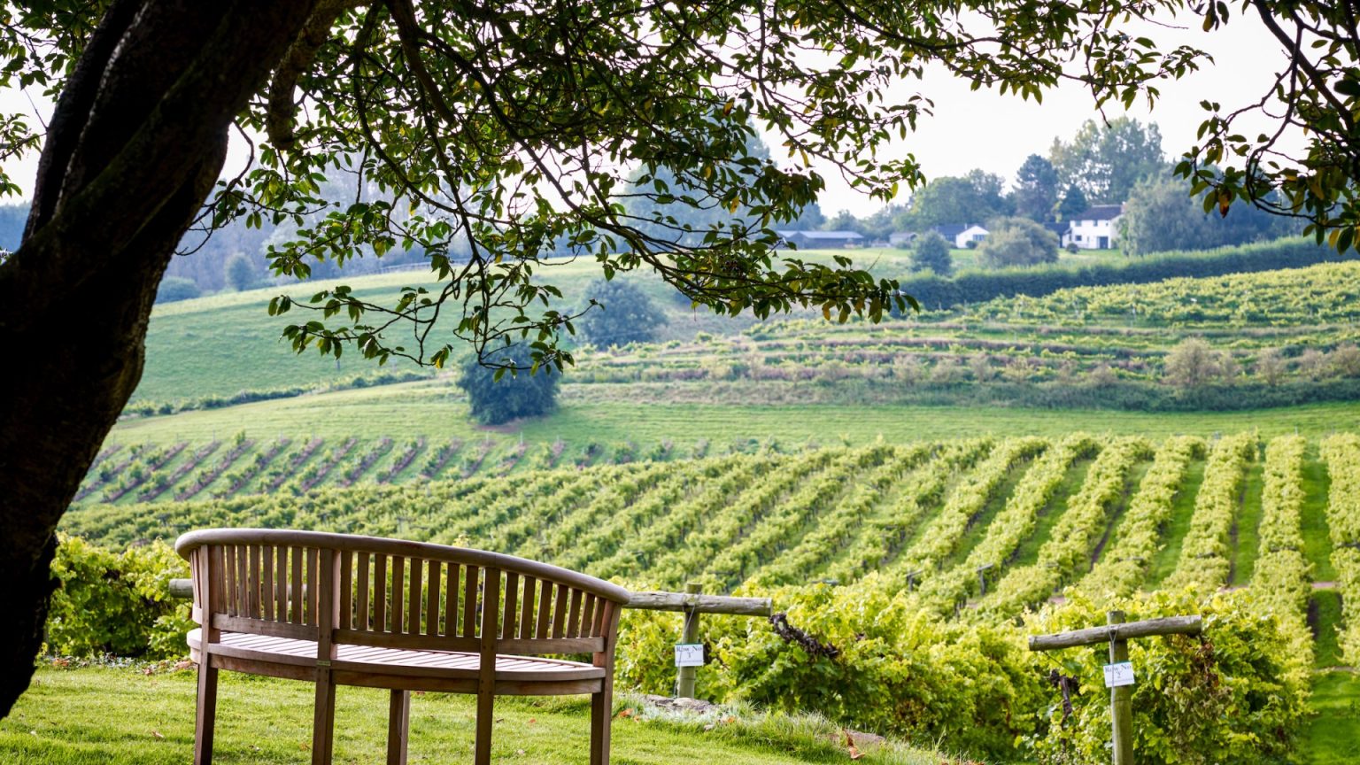 I stayed at one of England’s oldest vineyards tucked in the Cotswolds with wine tours and cosy rooms