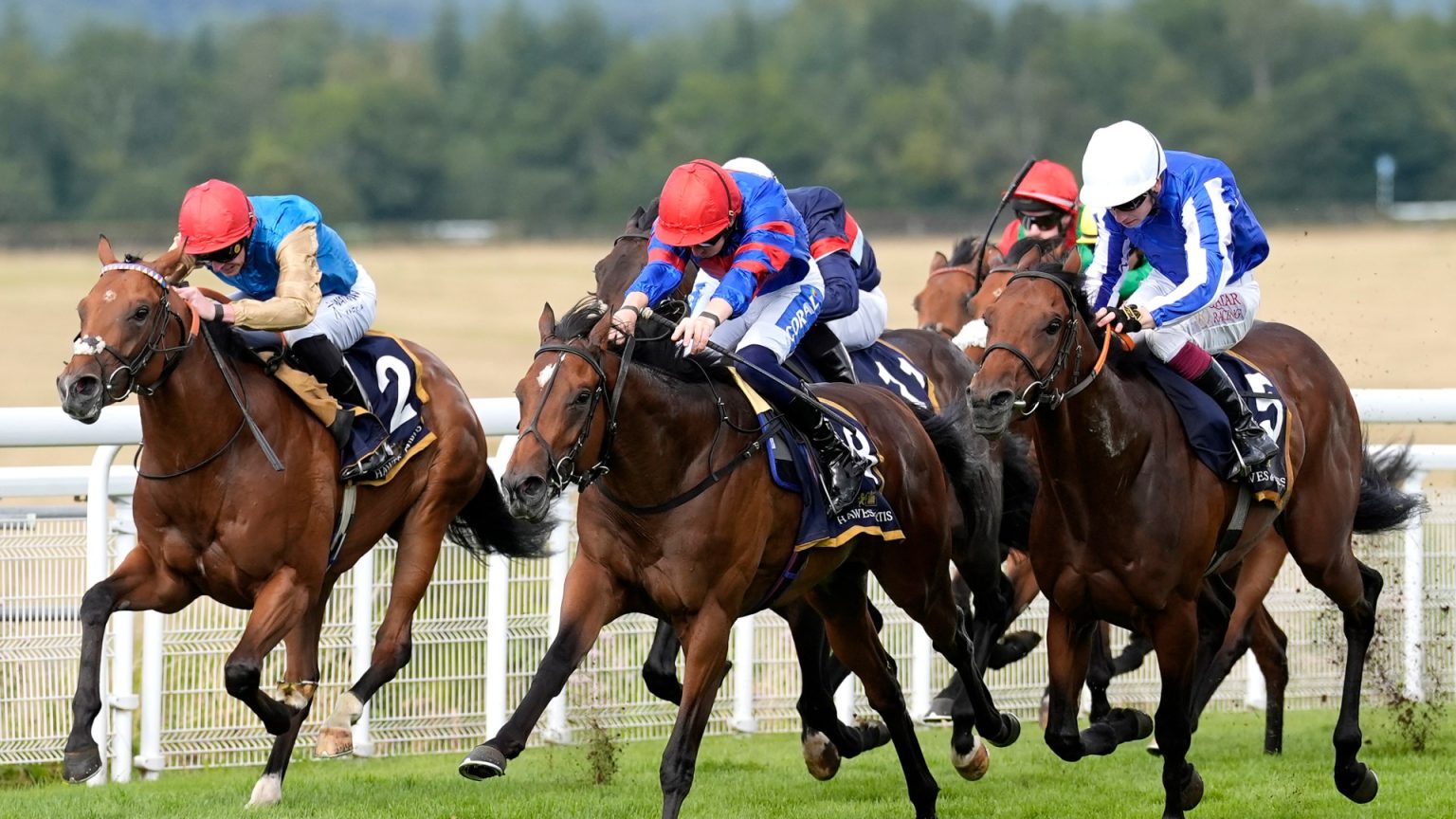 Nigel Farage urges Chancellor not to hike gambling taxes for horse racing