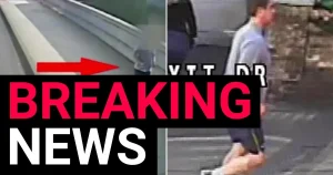 Millionaire arrested in hunt for ‘Putney pusher’ who shoved jogger into path of bus
