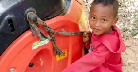 Boy, seven, mauled to death by pet monkey before bloodthirsty animal breaks loose