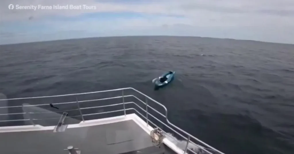 Dog drifting alone on kayak rescued in North Sea