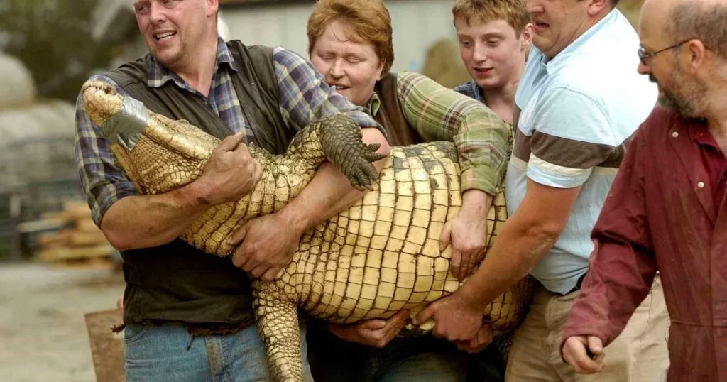 Heroic zookeeper and family jumped into crocodile pit after boy, 3, was thrown in