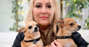 Woman bans her dogs from going outside because she keeps finding dead animals