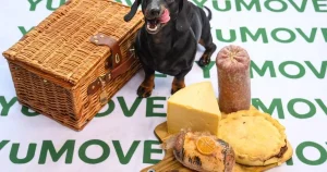 The picnic foods that add hundreds of calories to your dog’s diet