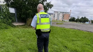 Dog found burned and pole put through it on council estate in Ballymun