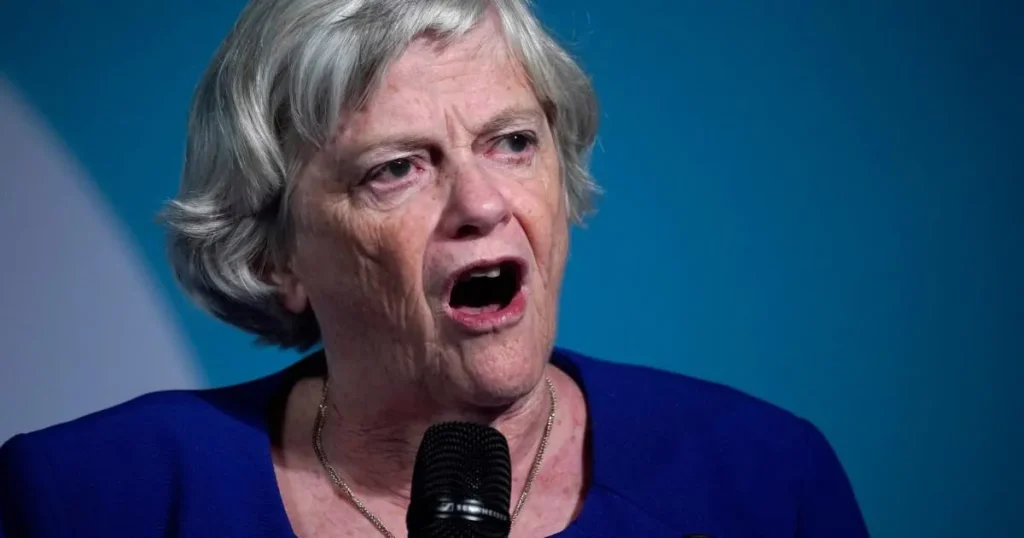 Uncle of Ann Widdecombe suspect says ‘things don’t add up’