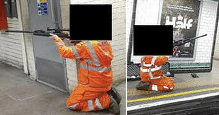 At least 655 pigeons shot and killed across London Tube stations in organised cullings