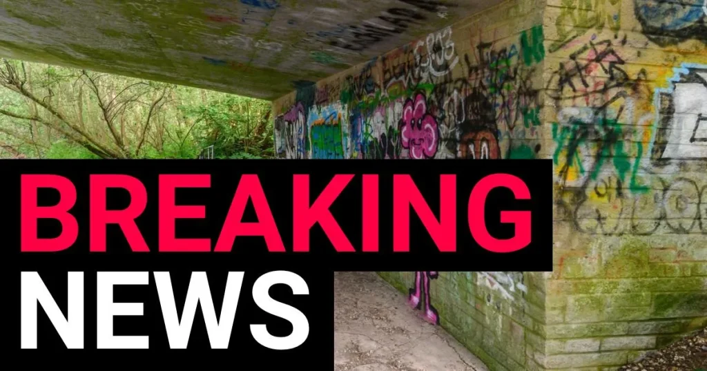 Boys who walked free after raping girls are jailed after appeal