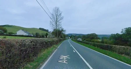 Man ‘tried to kill ex by deliberately crashing into BT telegraph pole’