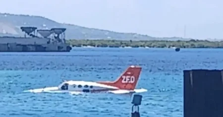 Passengers forced to swim to shore after plane makes emergency landing