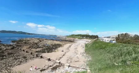 Beach closed to public after asbestos found in sand
