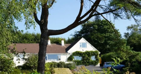 Ann Widdecombe’s home was featured on auction TV show days before she was killed