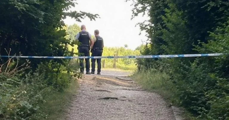 Body in suitcase found during children’s ‘teddy bear hunt’