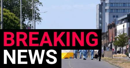 Man will appear in court after young mum stabbed to death in west London