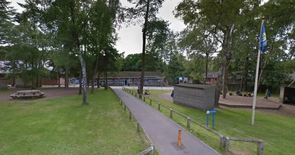 Children among 18 injured after tree falls on outdoor activity centre