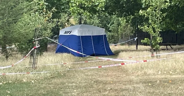 Young ‘family man’ killed in broad daylight in London park