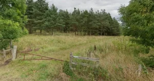 Man suffers ‘freak chainsaw accident’ in park