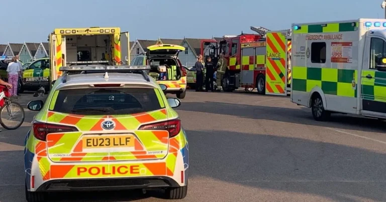 Boy, 7, dies days after being pulled from sea in incident that killed cousin and her mum