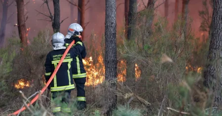 ‘Apocalyptic’ wildfires are now just nine miles from Bordeaux with next 24 hours ‘crucial’
