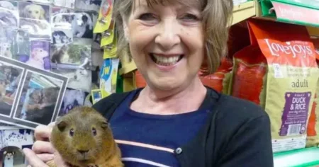 Murder investigation launched after head-on crash kills pet shop owner in her 70s