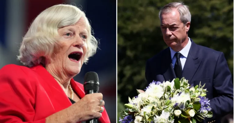 Nigel Farage believes Ann Widdecombe’s ‘murder’ was ‘premeditated’ as police theories emerge