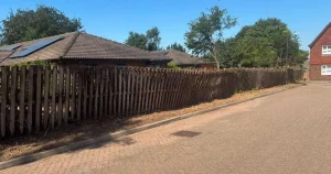 Mature 10-metre trees suddenly ‘savaged’ in middle of no-felling season