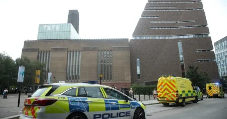 Family of boy thrown 100ft from Tate Modern issue update on his condition