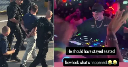 DJ remixes cabin crew’s demand to ‘idiot’ passenger and invites her to gig